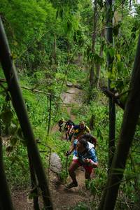 BIB: 
                            <button type="button" onclick="openModal(22242016)" class="btn btn-primary btn-sm float-right btn-popup" data-toggle="modal" data-target=".modal-high-quality">
                        <i class="fas fa-shopping-cart"></i> Add to Cart
                    </button>
                                            <button type="button" onclick="isThisMe(22242016, true)" class="btn btn-success btn-sm float-right btn-popup btn-isme hidden" data-toggle="tooltip" data-placement="bottom" title="นี่คือรูปของคุณใช่ไหม คลิกที่นี่เพื่อเอาเข้าอัลบั้ม">
                        <i class="fas fa-plus"></i> Add to album
                    </button>
                    <button type="button" onclick="isThisMe(22242016, false)" class="btn btn-warning btn-sm float-right btn-popup btn-isnotme hidden">
                        <i class="fas fa-ban"></i> Remove from album
                    </button>